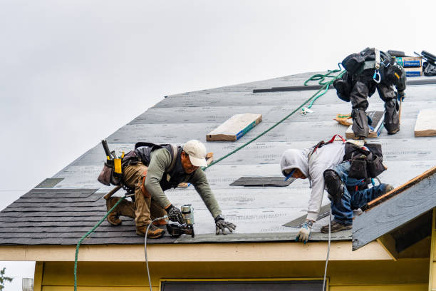 Professional Roofing technician working in La Motte, IA
